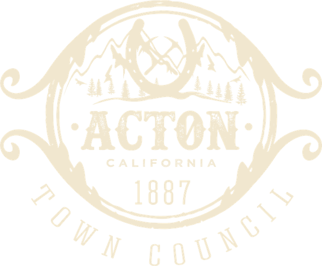 Acton Town Council