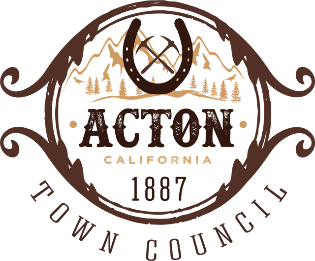Acton Town Council